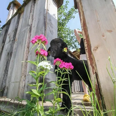 펜션 Chicken Coop With Private 운켄